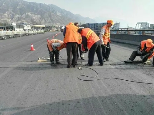 鹿寨道路桥梁病害治理